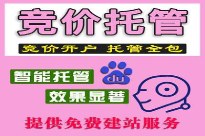 百度推广在电商领域的应用：成功提升销售额的秘诀